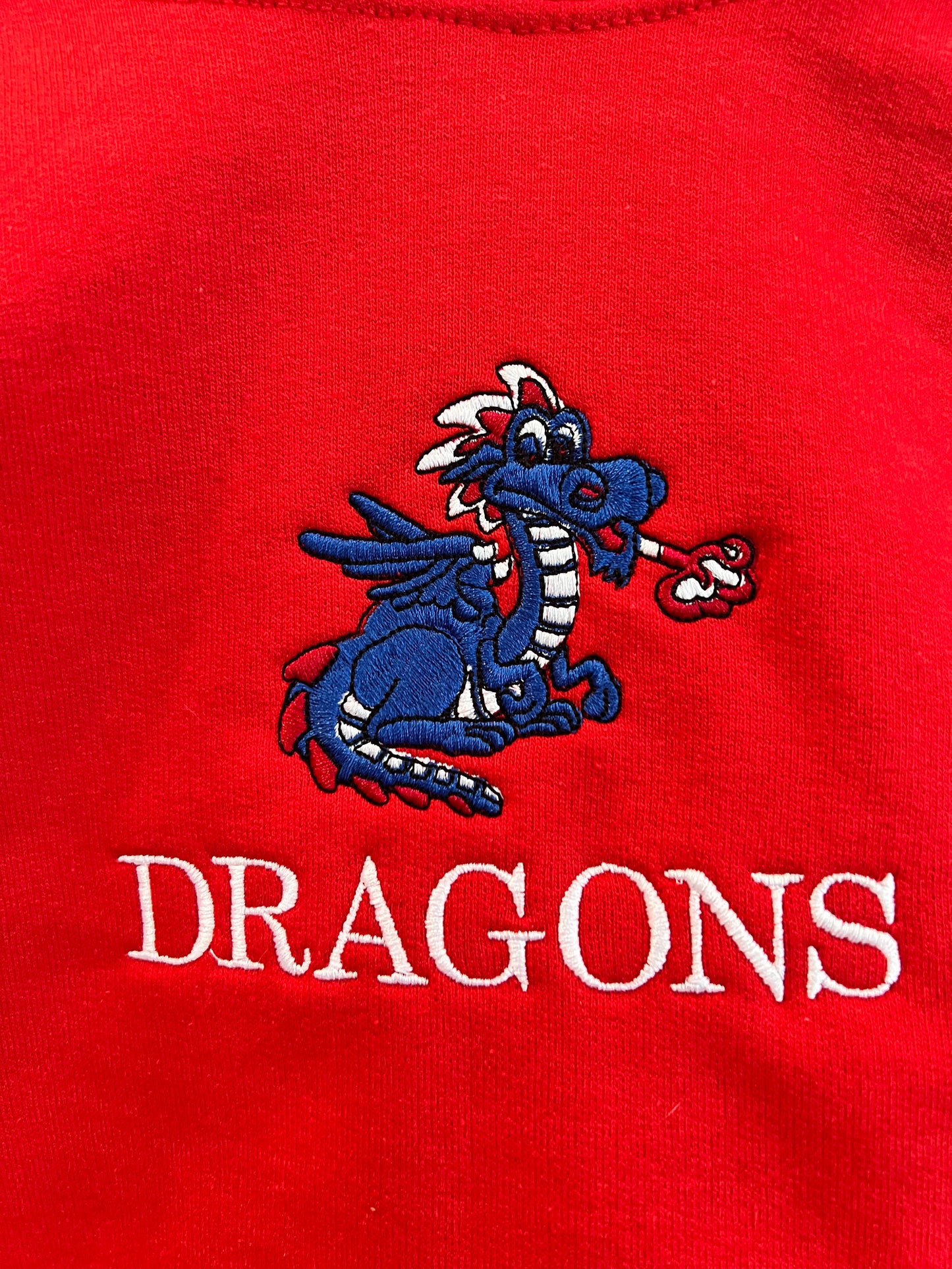 Youth Hooded Sweatshirt with Cute Dragon