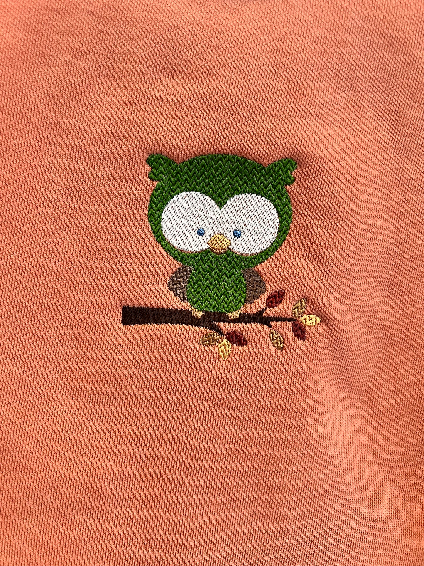 Owl on a Branch Sweatshirt