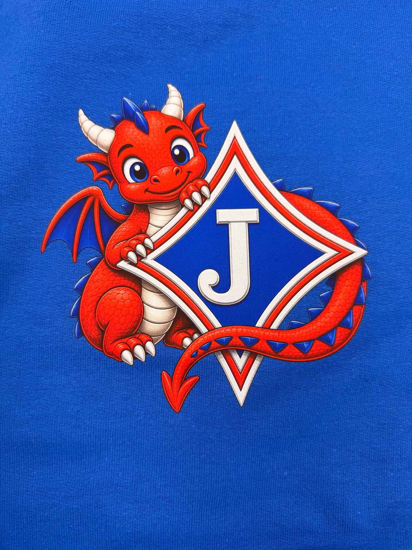Youth Sweatshirt with Dragon Trail Wrapped Logo in DTF Print