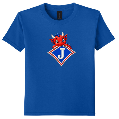 Youth T-shirts with various Cute Dragon DTF Print Options